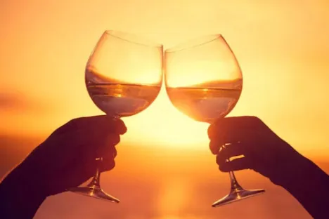 Private Sunset Cruise in Miami - Miami Sightseeing Cruises