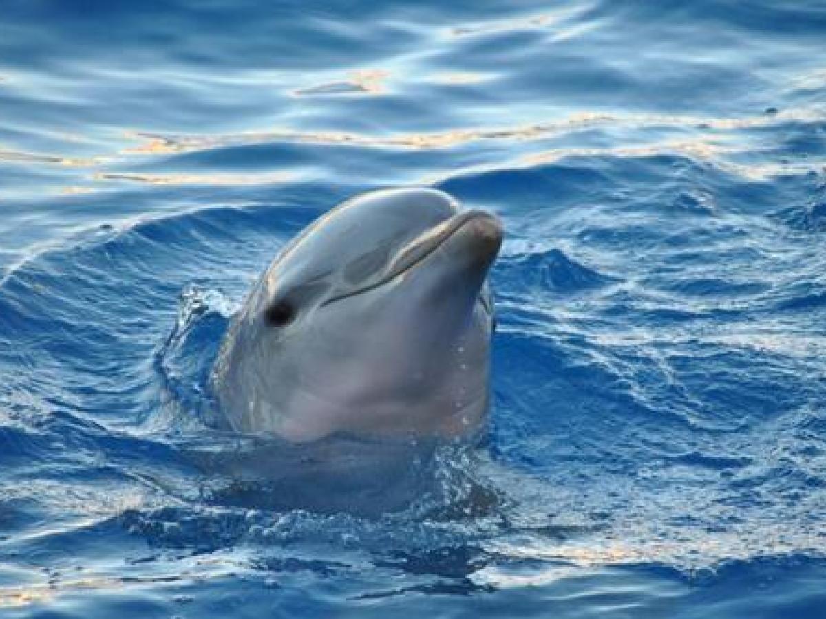 Private Boat Tour Miami with Miami Sightseeing Cruises