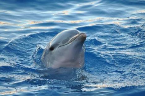 Private Boat Tour Miami with Miami Sightseeing Cruises