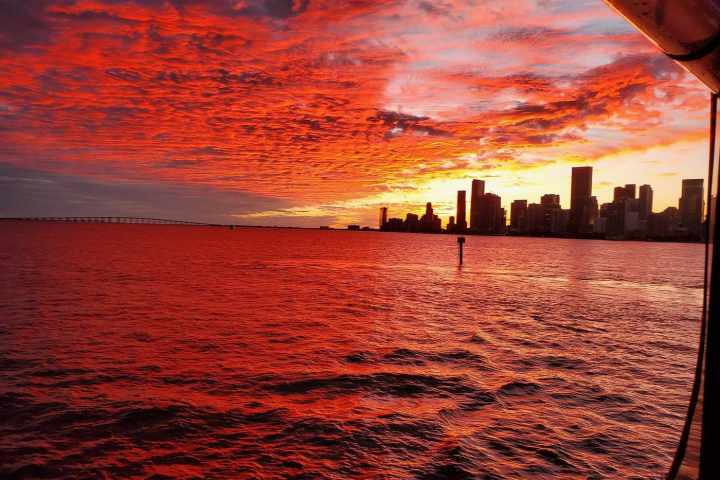 Miami Sunset and City Lights Cocktail Cruise | Miami Sightseeing Cruises